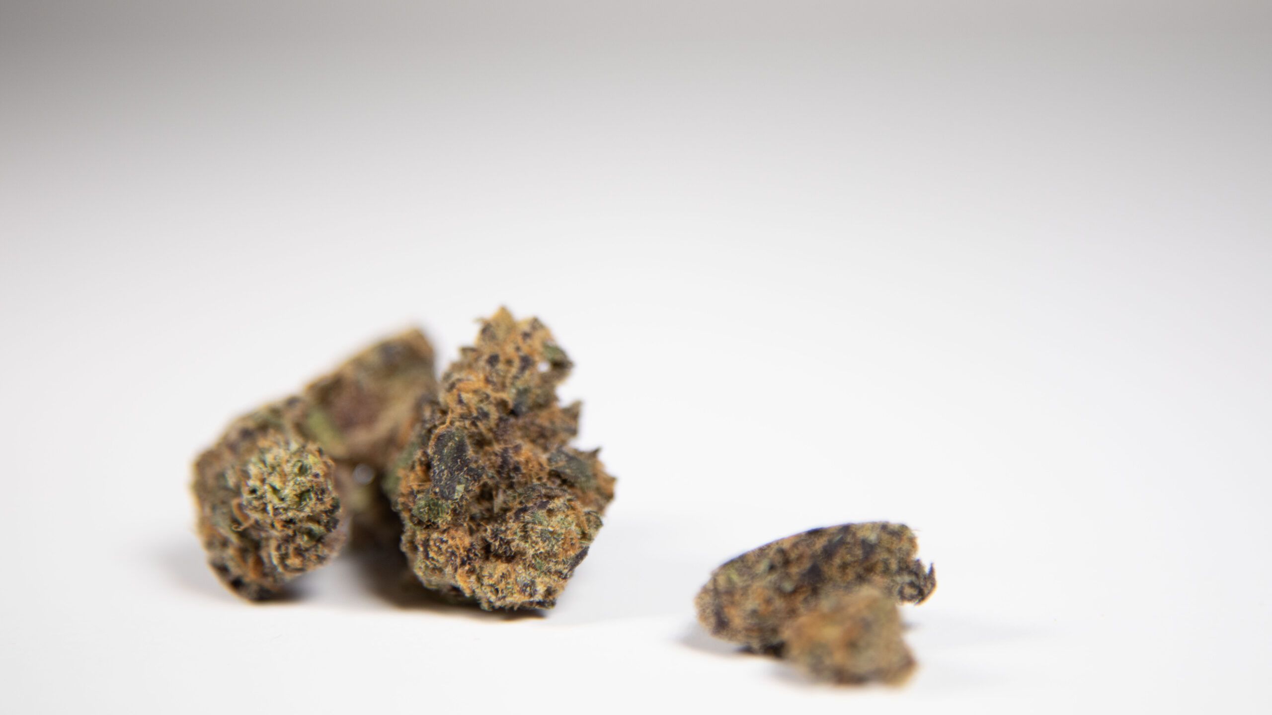 Why More Age Groups Are Turning to Cannabis Today