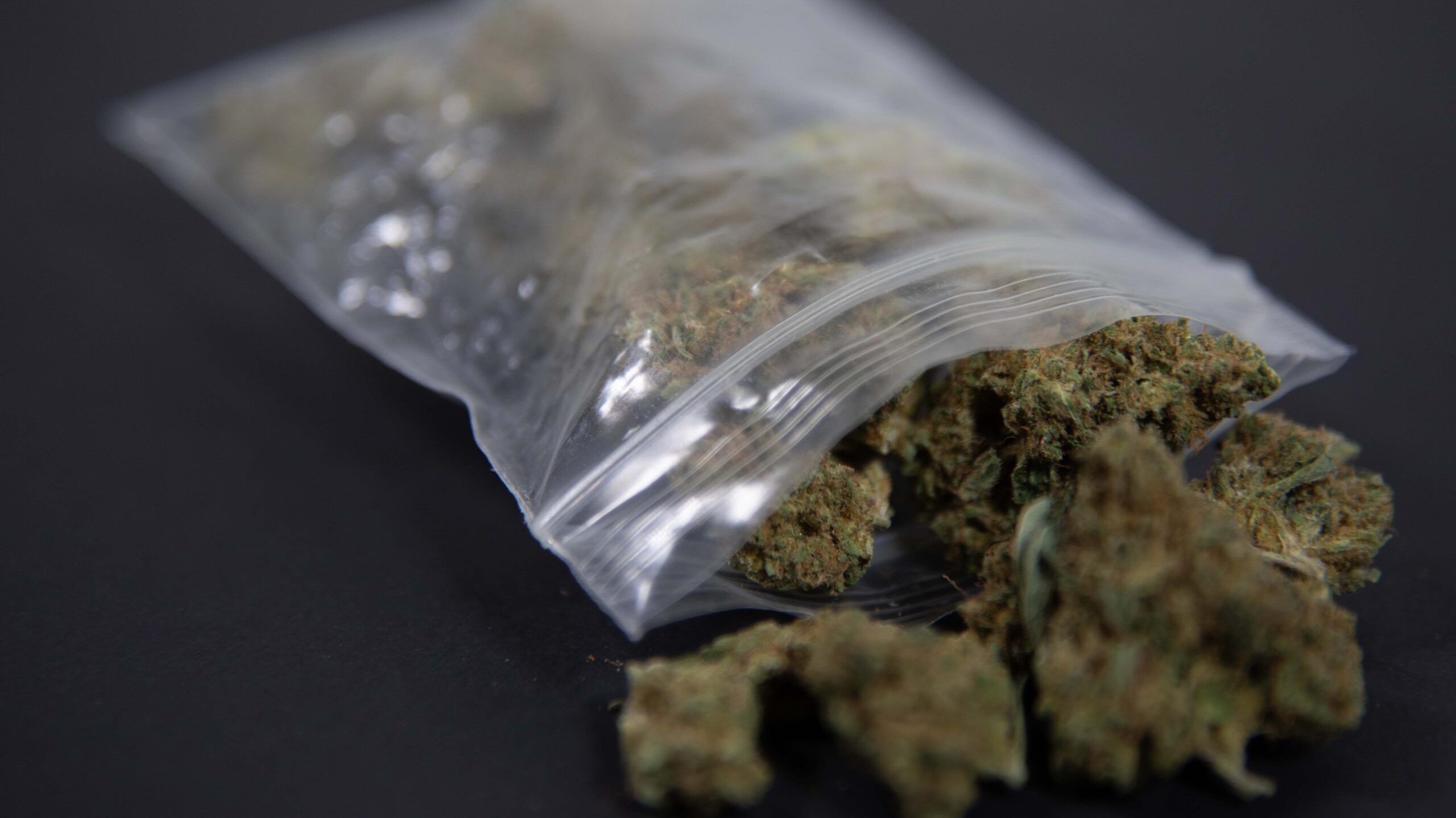 The Current State of Cannabis Legalization in the United States